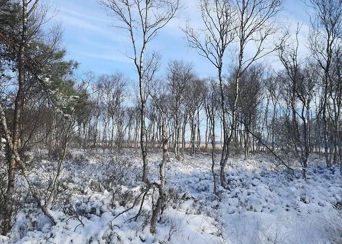 Brunnenstrasse Apartamento