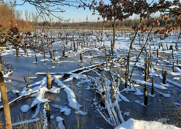 Apartamento Brunnenstrasse Bremervörde