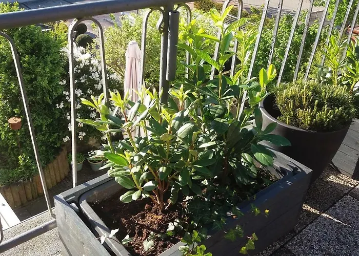 Brunnenstrasse Apartamento Bremervörde